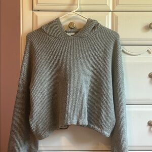 American Eagle Cropped and Hooded Sweater